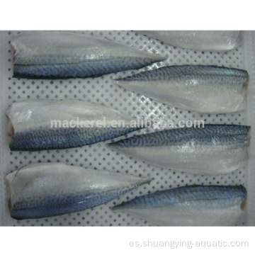 Filetes de caballa pescado congelado con estándar de la UE